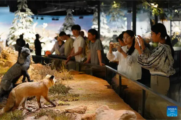 Chengjiang Fossil Site