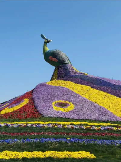 Dounan Flower Market