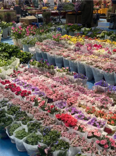Dounan Flower Market