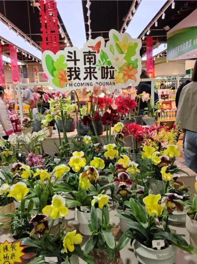 Dounan Flower Market