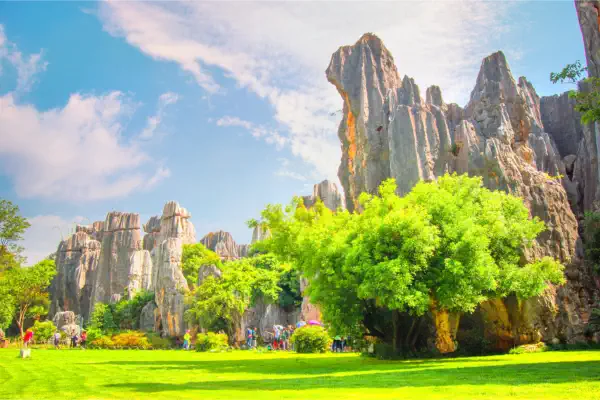 Stone Forest (Shilin)