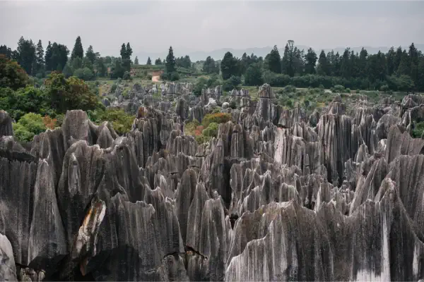 Stone Forest (Shilin)