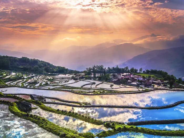 Yuanyang Rice Terraces